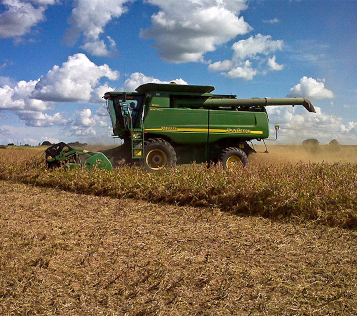 Cosecha de soja