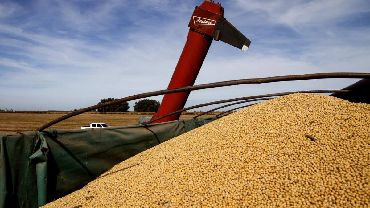 Cosecha de soja en Argentina. Foto: NA.