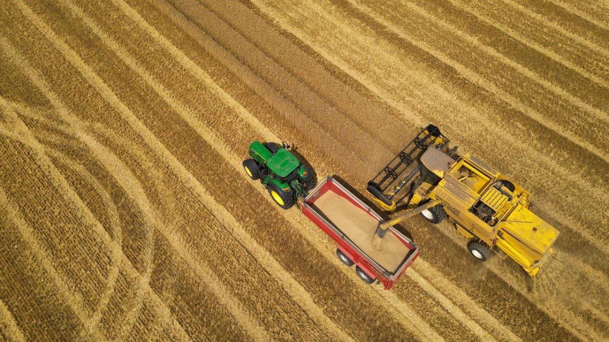 Cosecha de trigo. Foto: Reuters