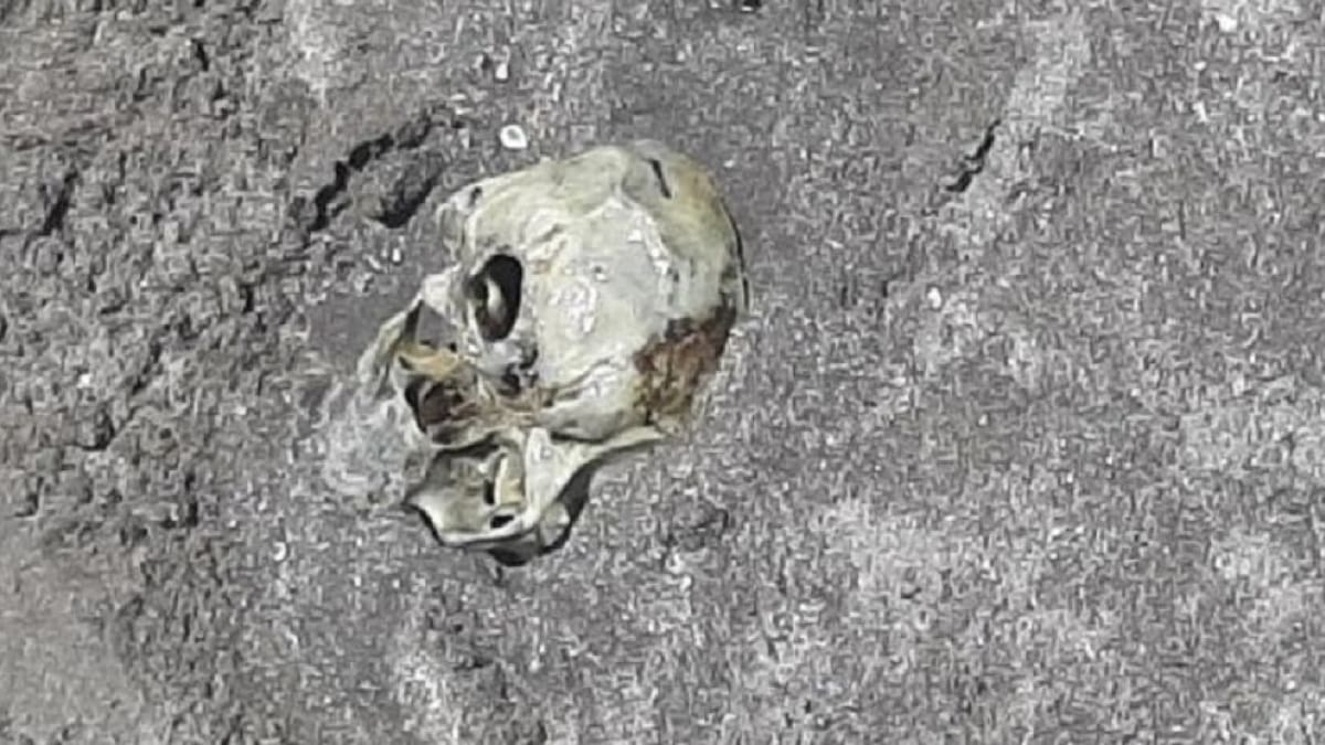 Cráneo humano enterrado en una de las playas de Mar del Plata. NA