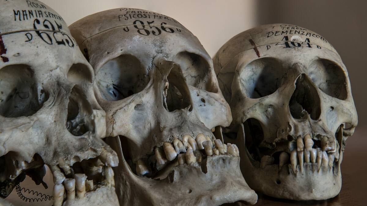 El hobbit hallado habitó una isla entre el océano Índico y Pacífico. Foto: Unsplash