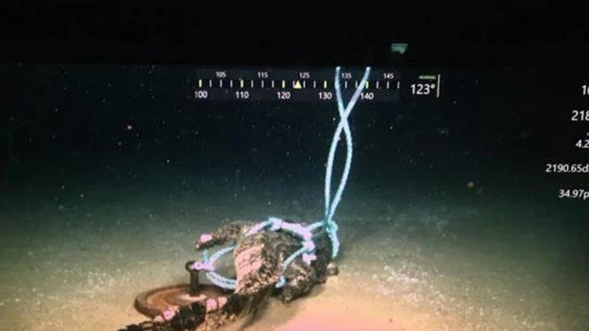 Criaturas marinas devoran a caimán a 200 metros de profundidad