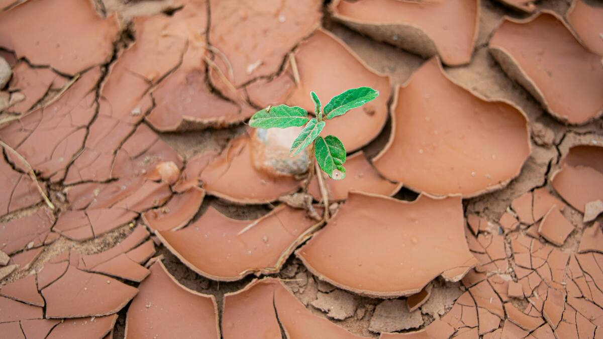 Crisis climática: el mundo experimentó el tercer septiembre más cálido