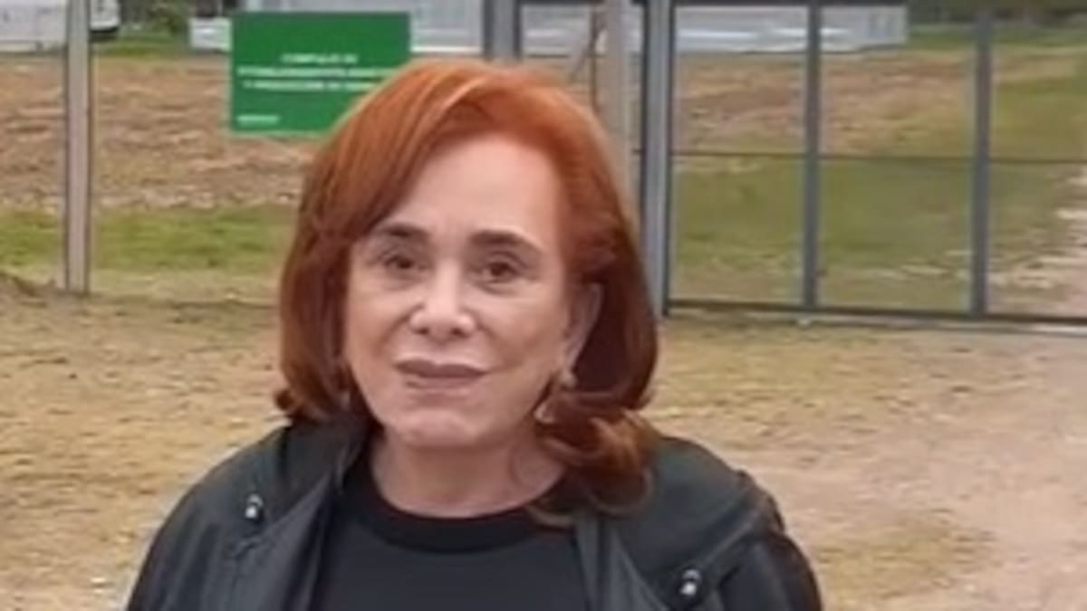 La exdiputada Cristina Guzmán denunció una nueva plantación de cannabis en Jujuy: “La marihuanera con sus cinco naves”