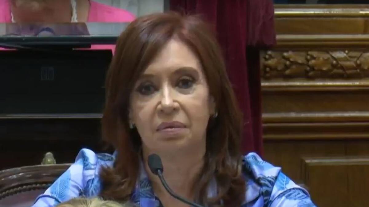 Cristina Kirchner en el Senado