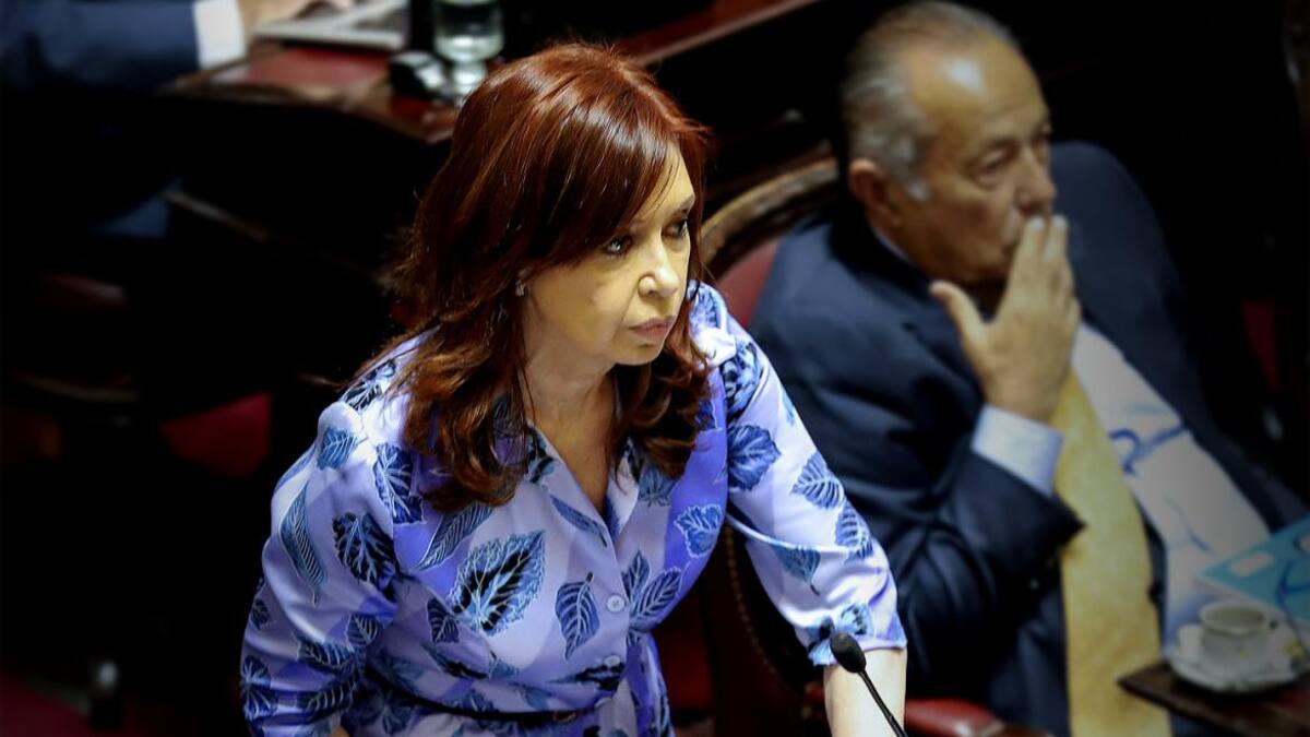 Cristina Kirchner en el Senado (NA)
