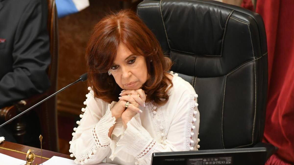 Cristina Kirchner, vicepresidenta, foto NA