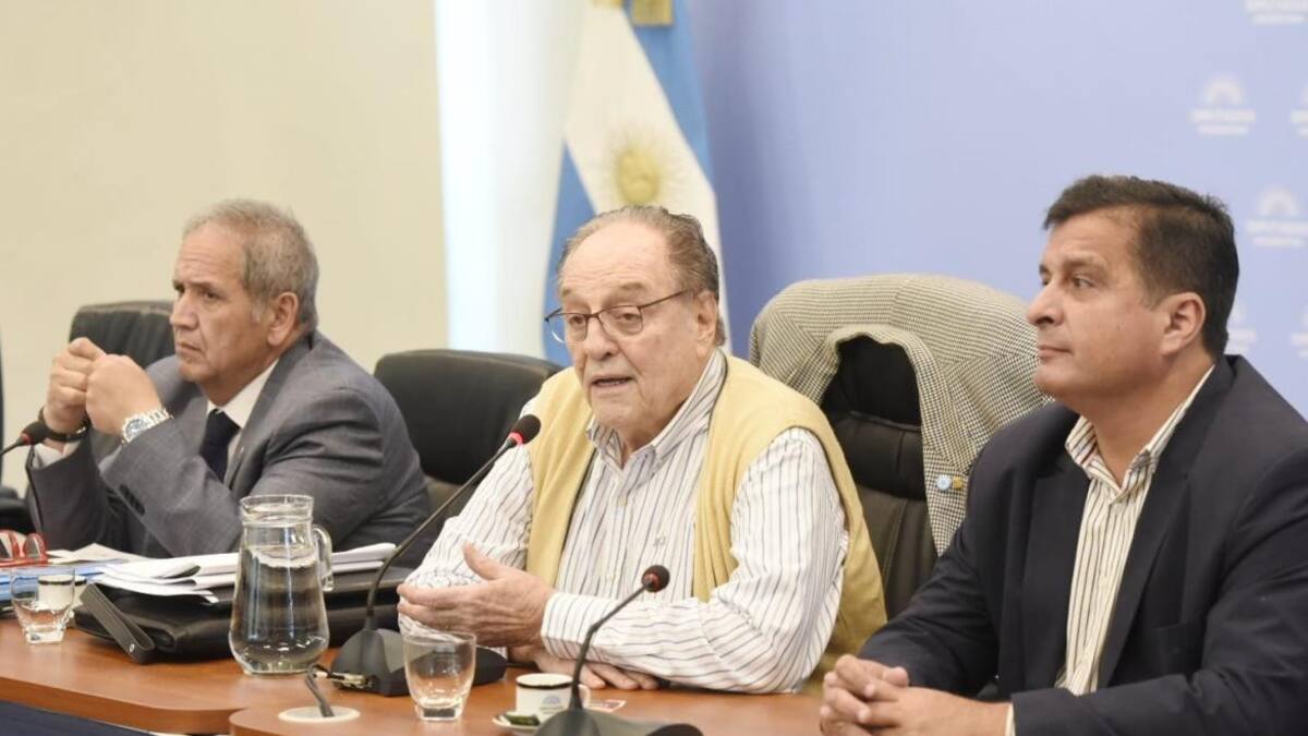 Debate en comisión del Presupuesto 2023. Foto: Telam.