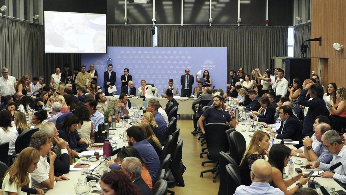 Debate en comisión para la suspensión de las PASO. Foto: NA.