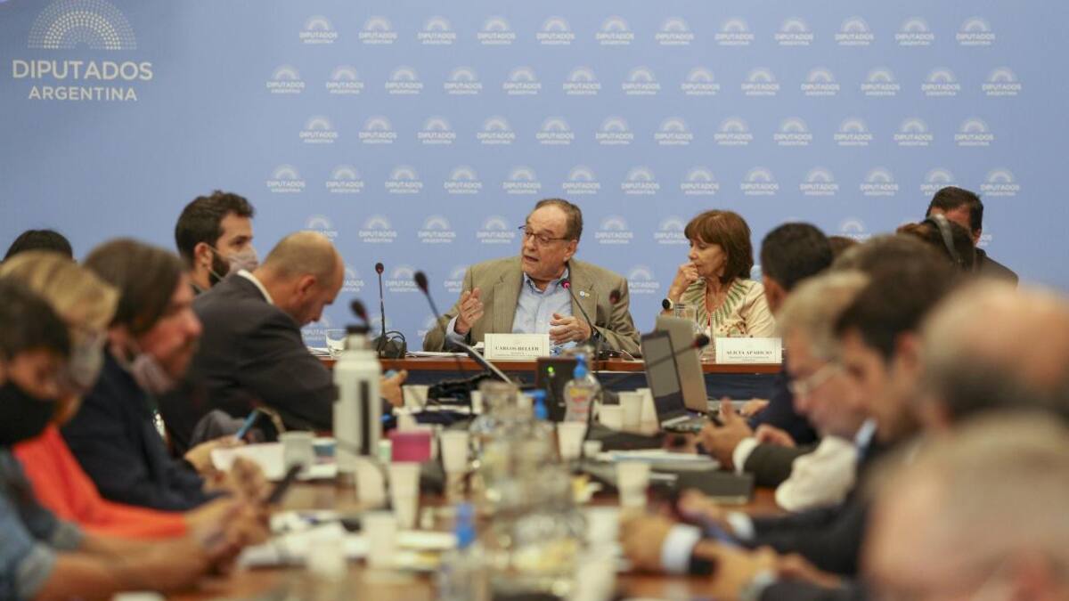 Debate en comisión por el acuerdo con el FMI, AGENCIA NA
