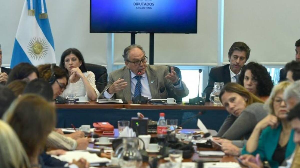 Debate en comisiones Diputados