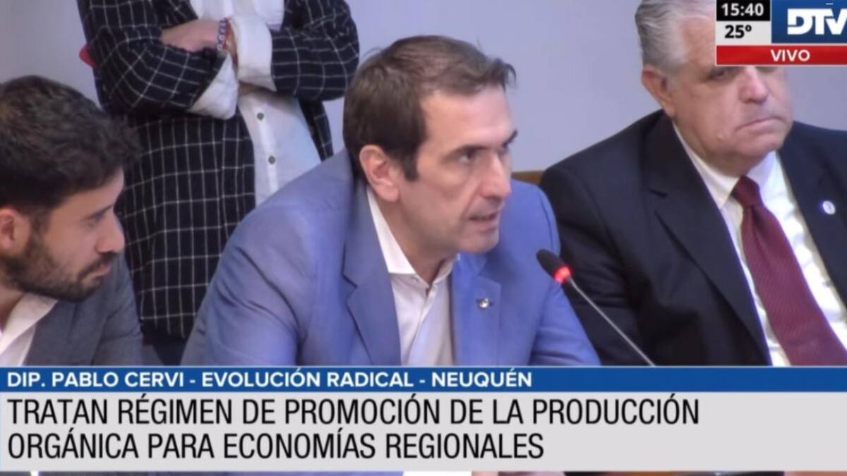 Debate en Diputados. Foto: captura video