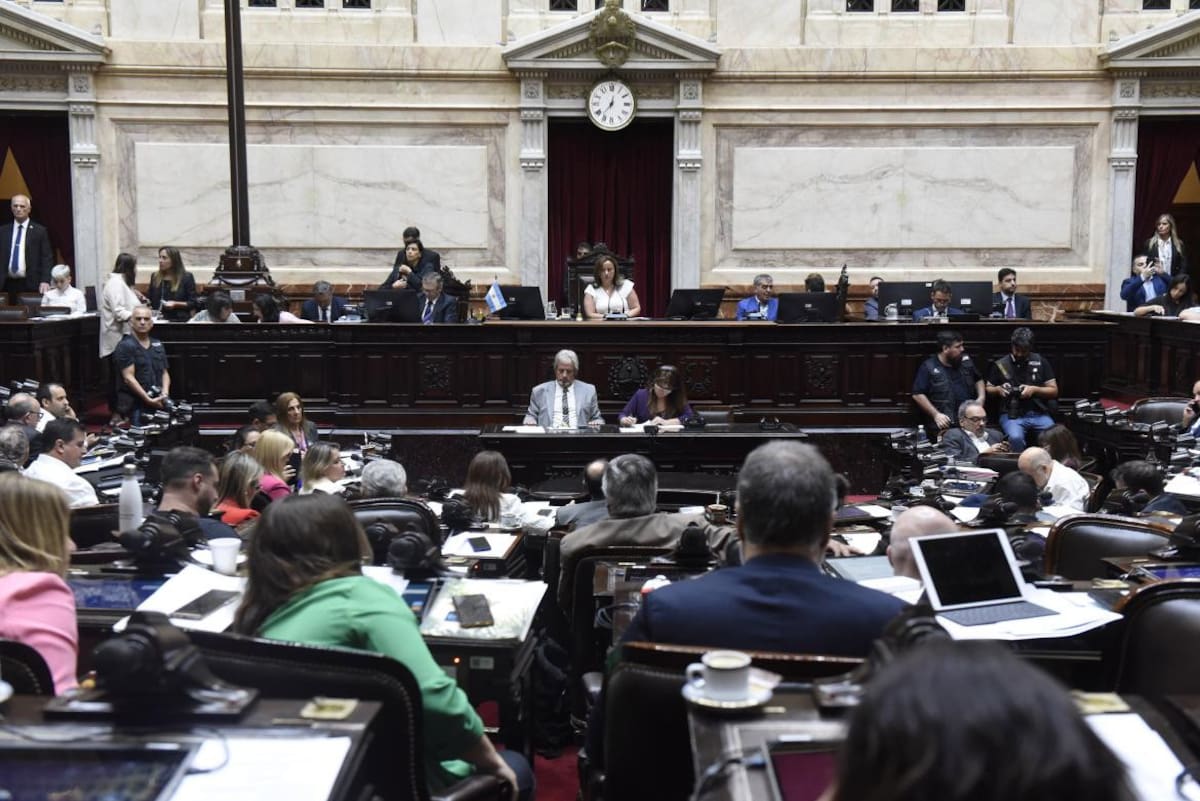 Debate en Diputados sobre la seguridad en Rosario. Foto: NA.