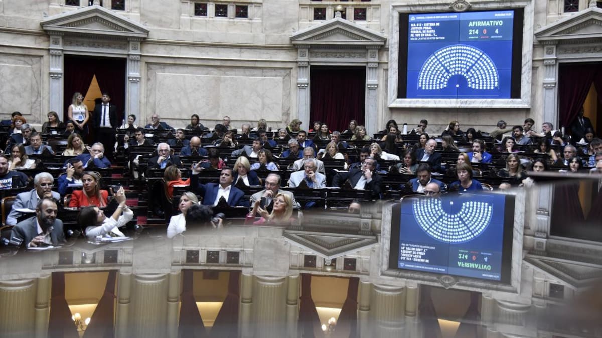 Debate en Diputados sobre la seguridad en Rosario. Foto: NA.
