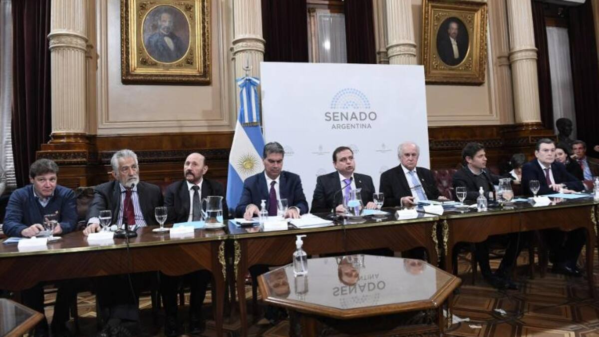 Debate en el Senado del Presupuesto 2023. Foto: NA.
