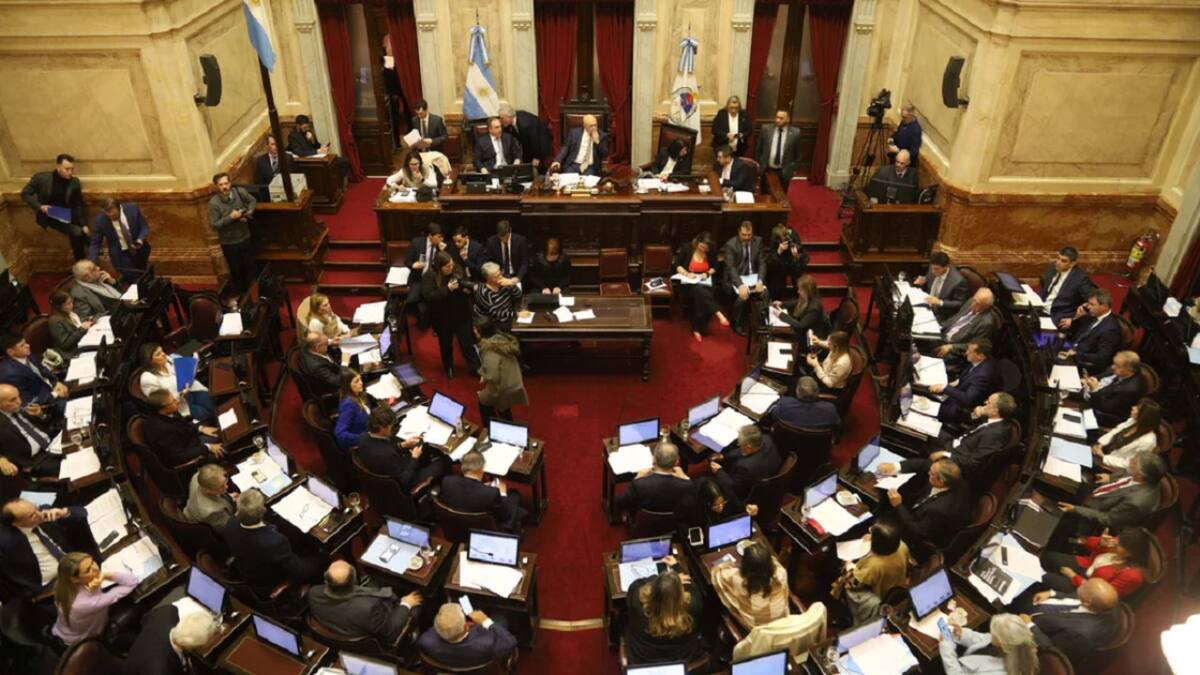 Debate en el Senado. Foto: NA