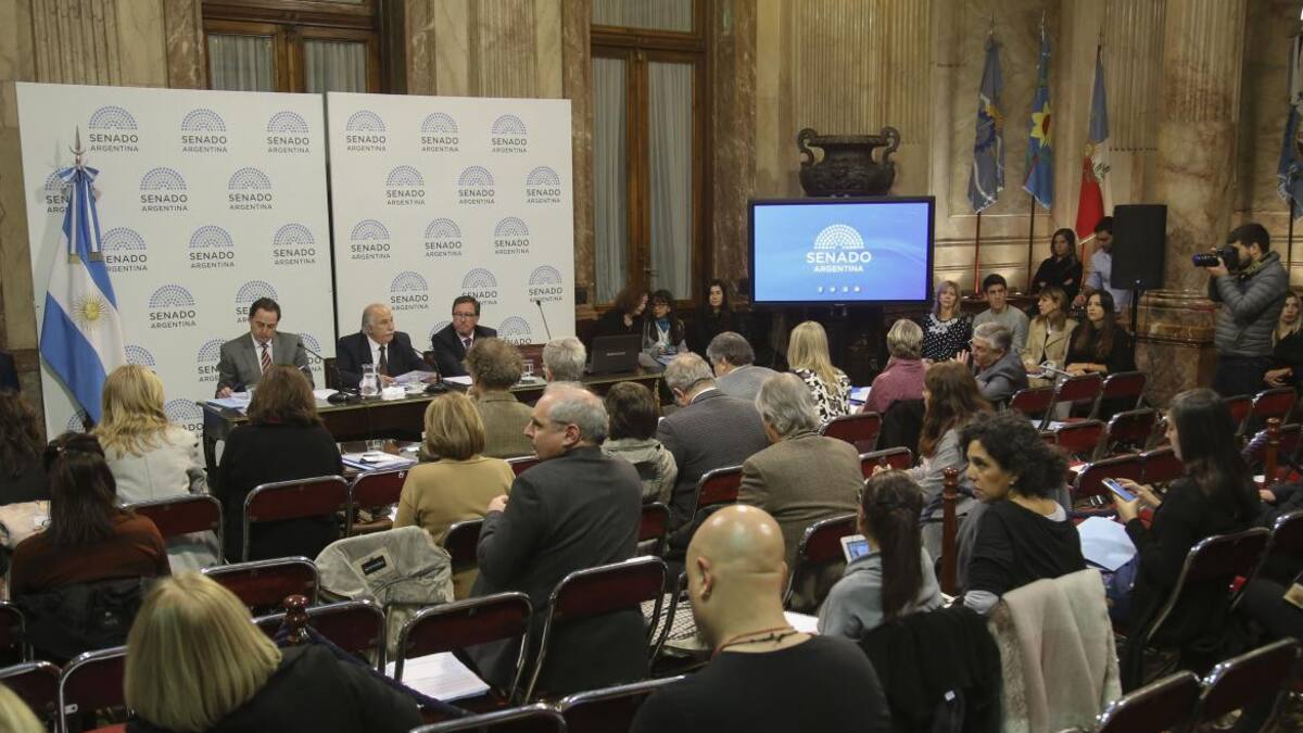 Debate en el Senado por el aborto legal (NA)