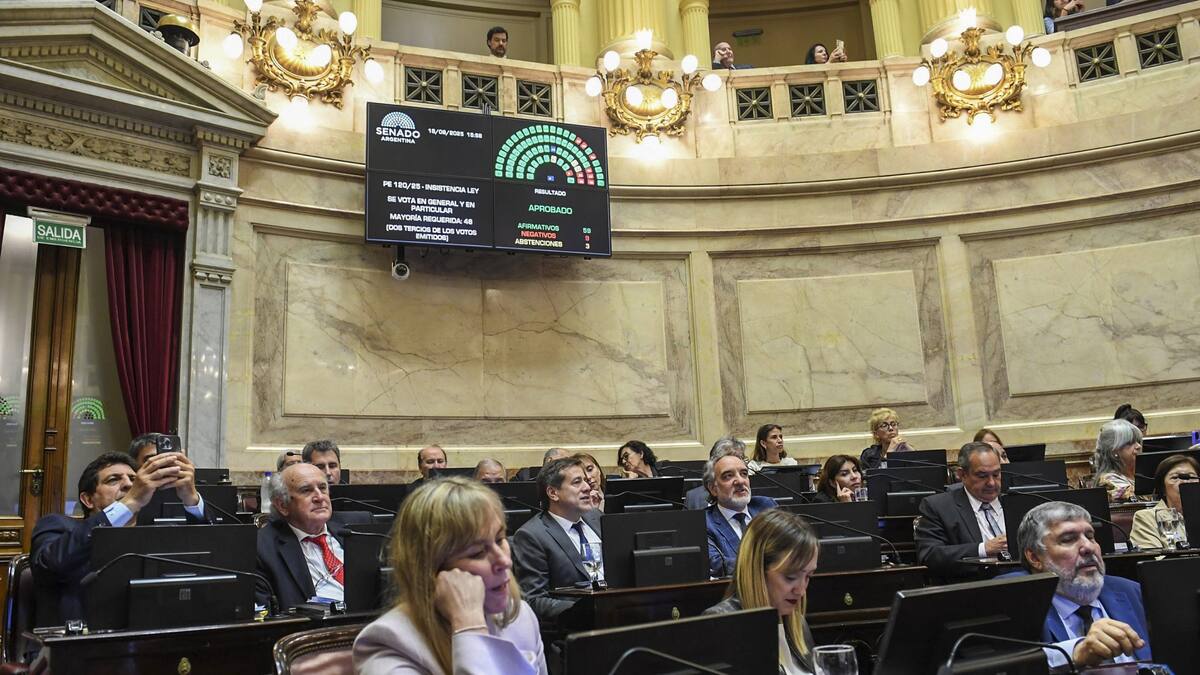 Debate en el Senado por los ATN.
