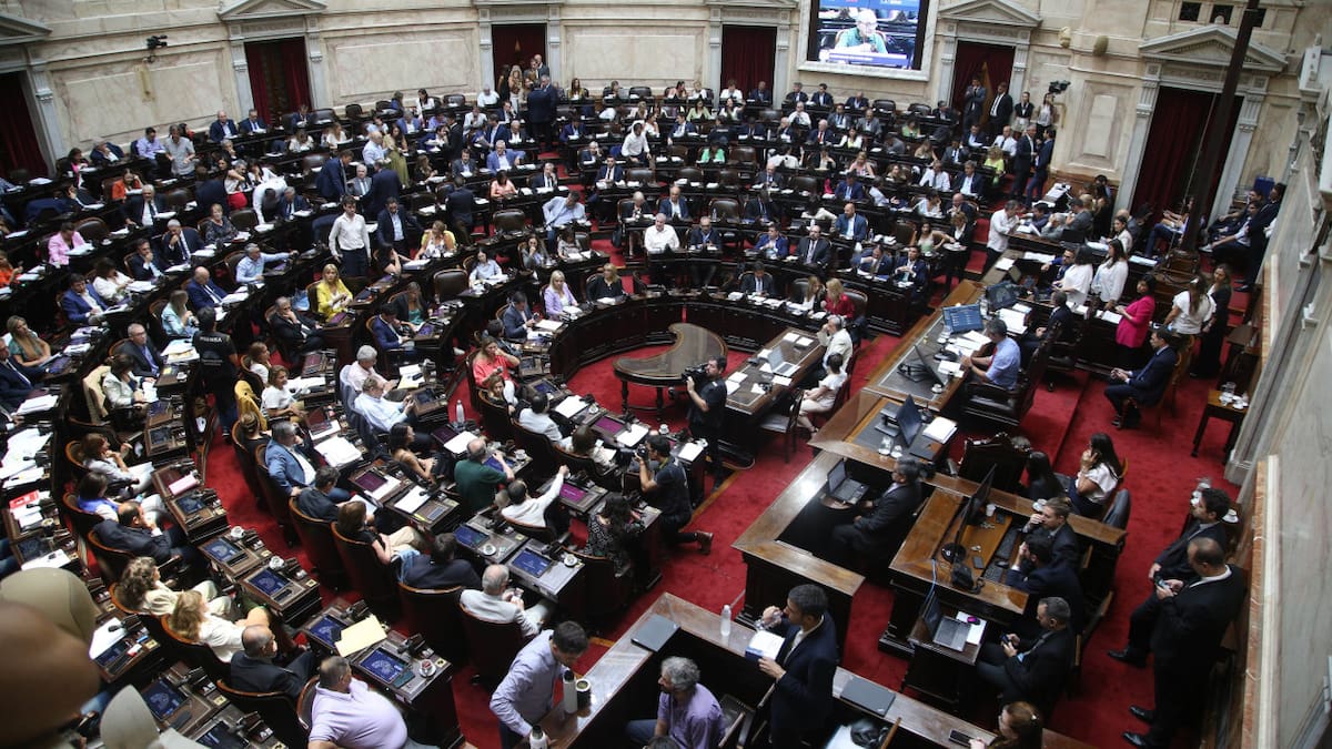 Debate Ley Ómnibus en Diputados. Foto: NA