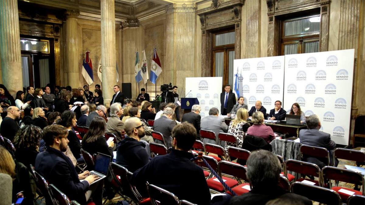 Debate por legalización del aborto - Audiencias - Senado (NA)