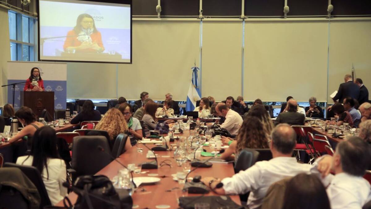 Debate sobre aborto - Congreso