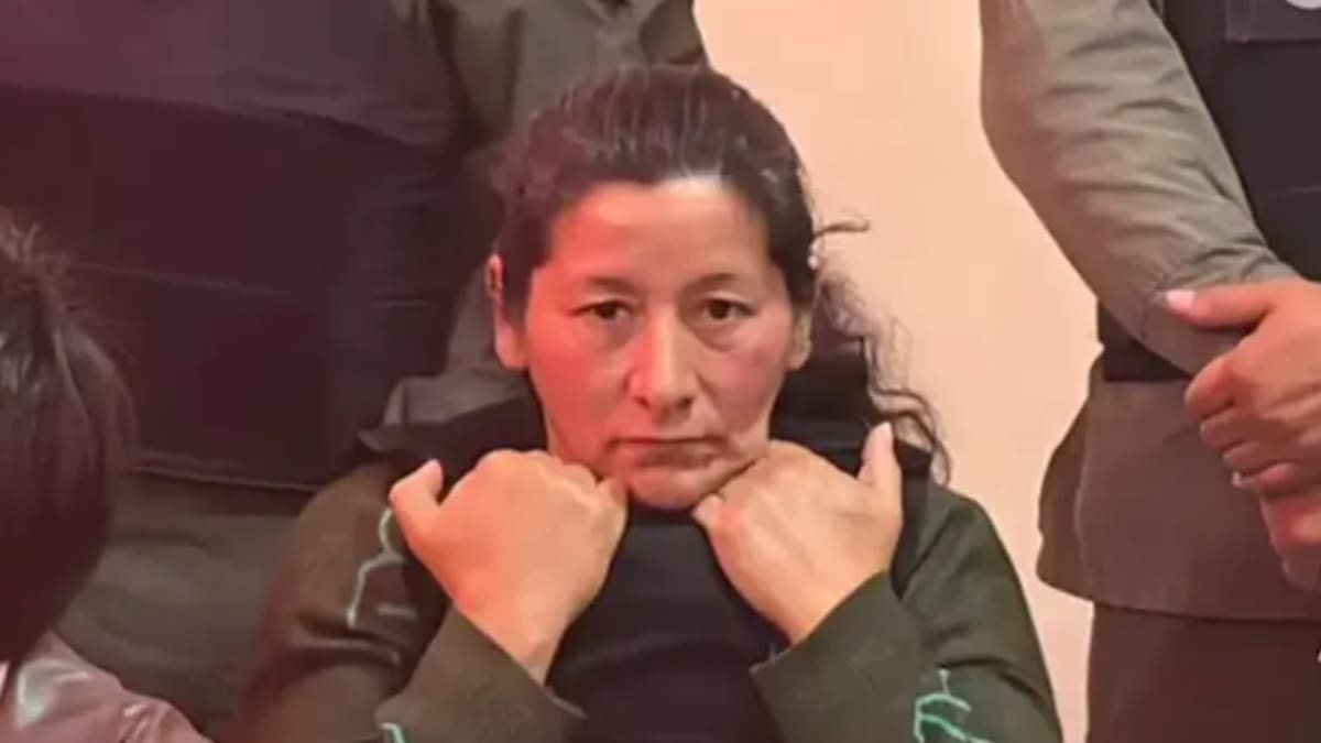 Laudelina Peña declaró en el juicio por Loan, lloró y pidió perdón: cómo sigue el debate por la desaparición del nene de 4 años