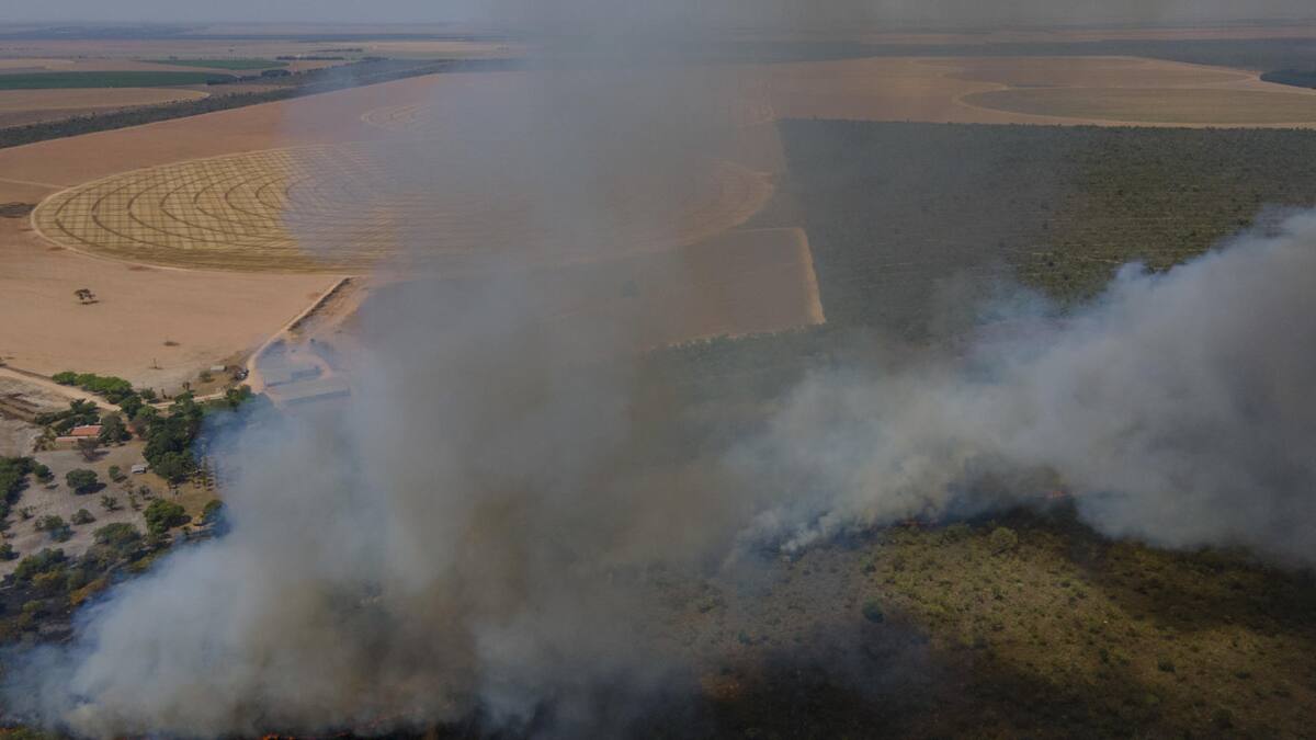 Los incendios forestales en Brasil durante 2023 destruyeron un área del tamaño de Uruguay