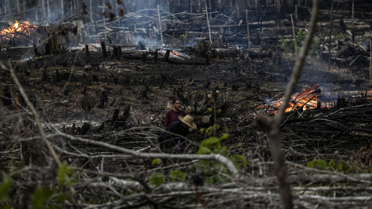 Deforestación en la Amazonía. Foto: EFE