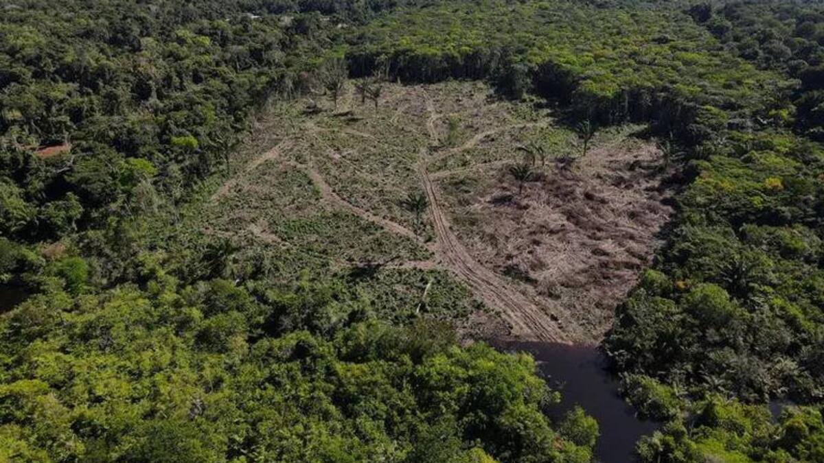 Deforestación en la selva amazónica en Manaos. Foto: Reuters