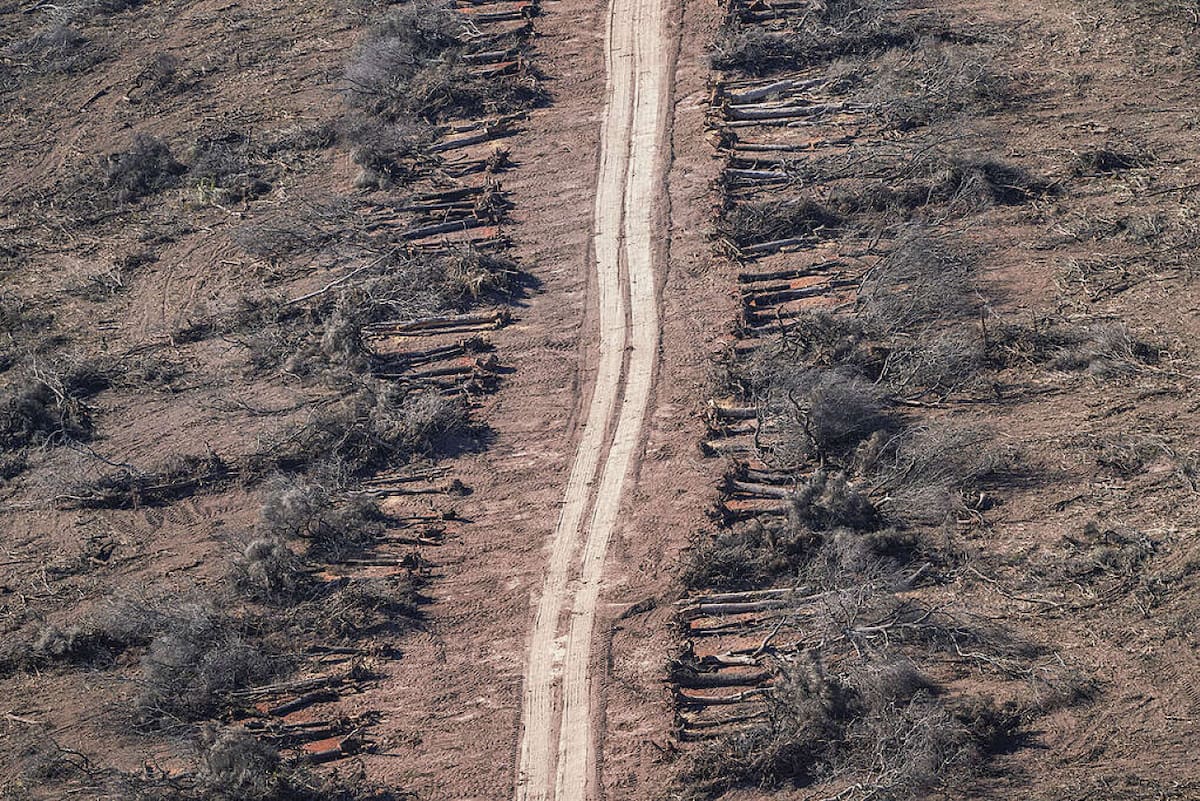 Deforestación y desmonte en Chaco. Foto: Greenpeace.