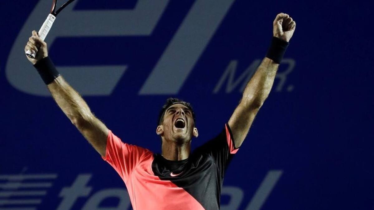 Del Potro - Tenis - Festejo