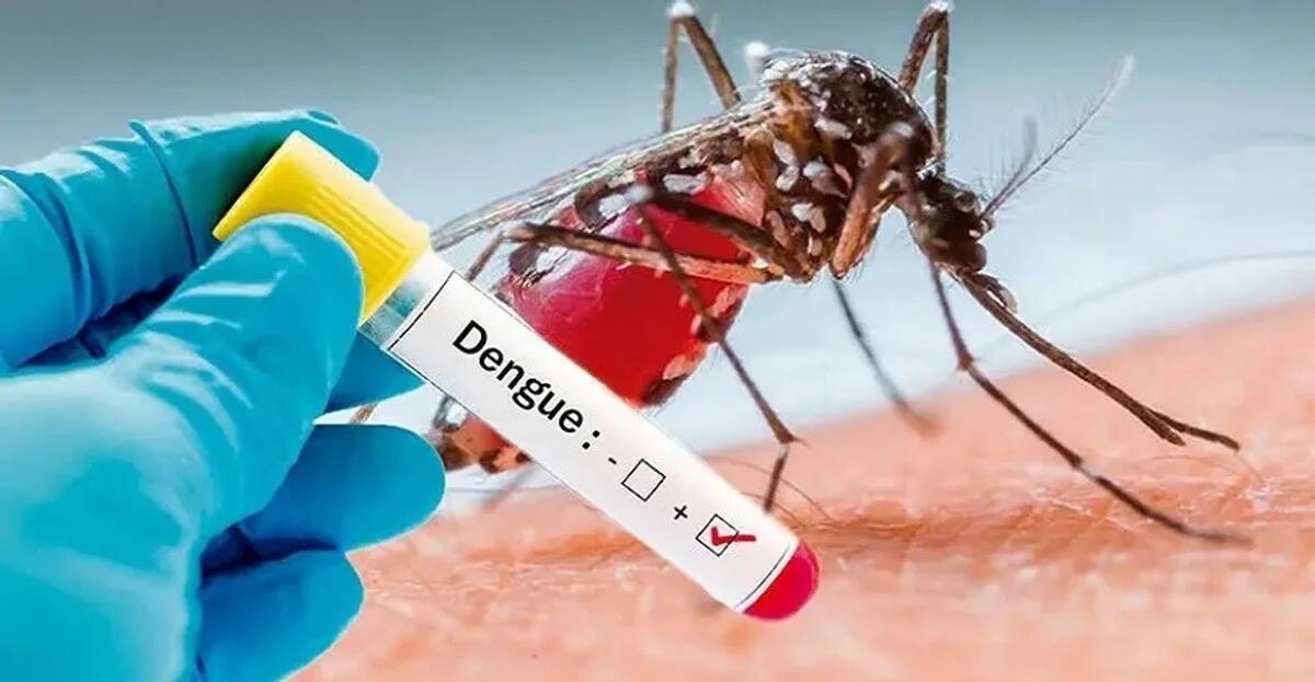 Dengue. Foto: NA