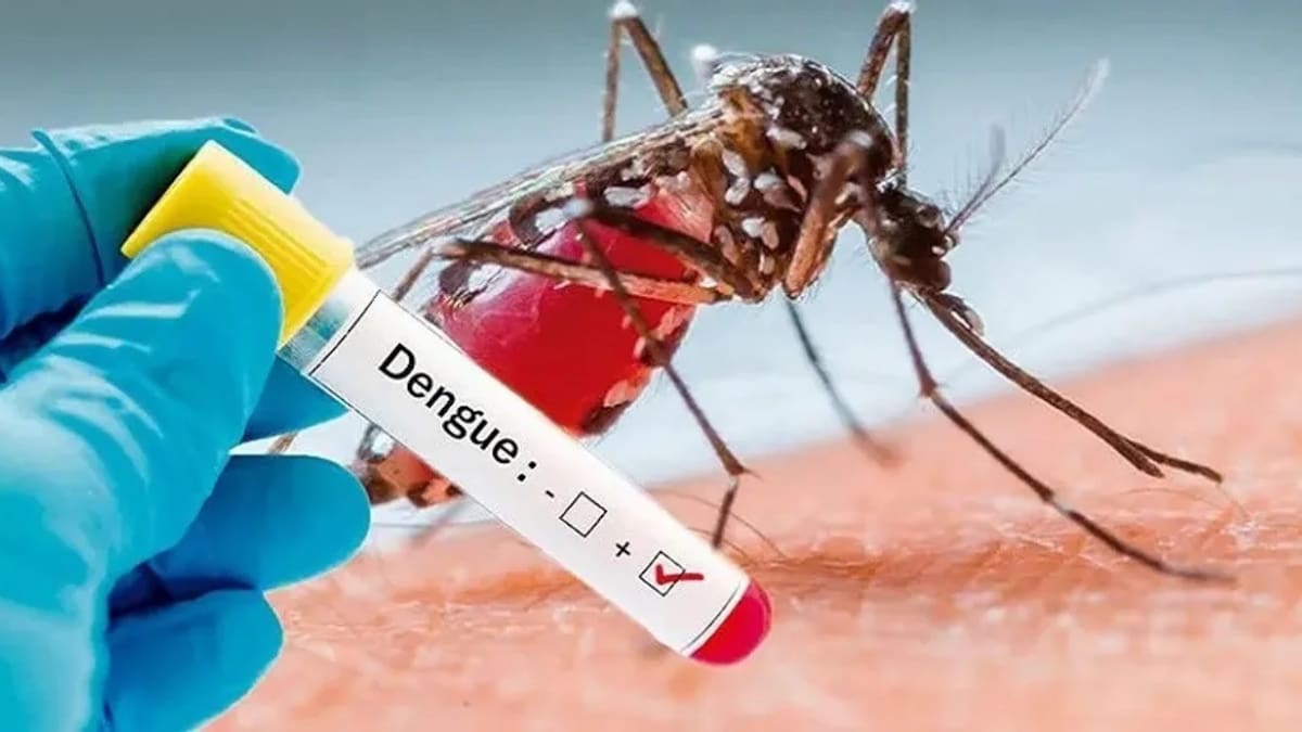 Dengue. Foto: NA
