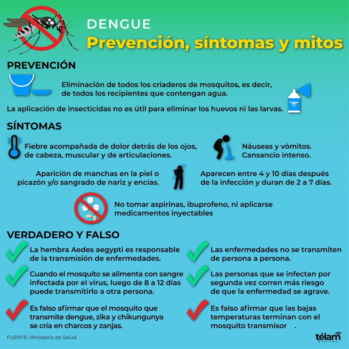 Dengue. Infografía: Télam