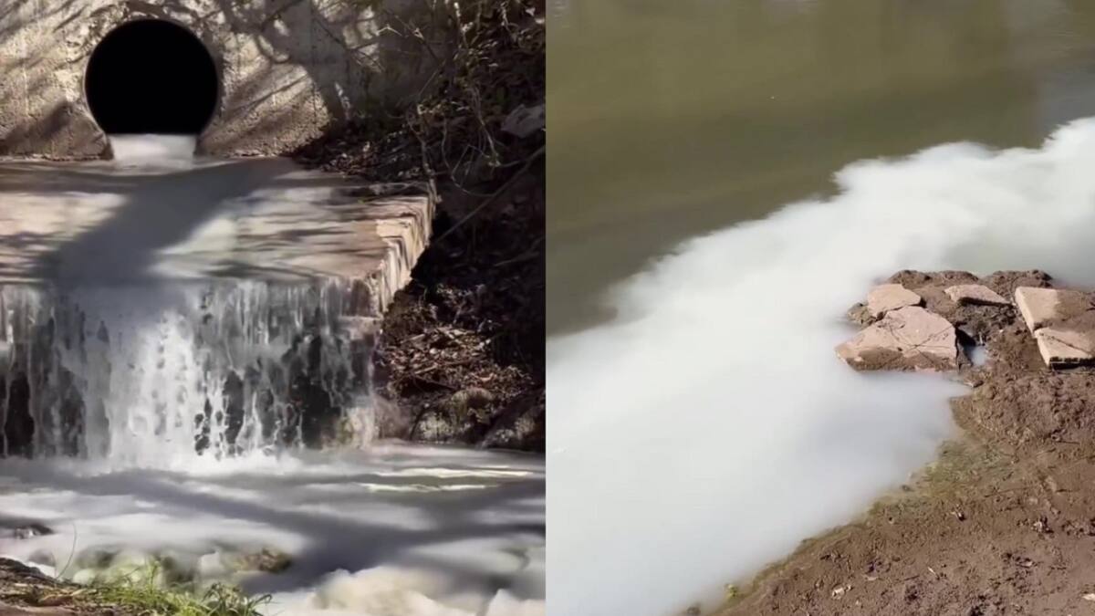 Denuncian ecocidio en Córdoba. Foto: capturas de video