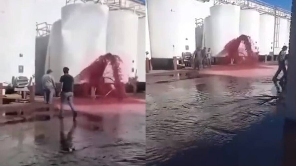 Derrame millonario en una bodega de Mendoza. Foto: Captura de pantalla