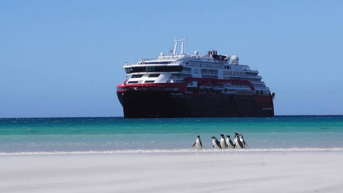 El día que las islas Malvinas vivieron una catástrofe ecológica: un enigma que deja cicatrices profundas
