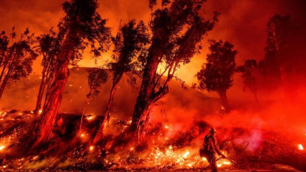 Desastres naturales por crisis climática aumentaron drásticamente desde 2019 Los Ángeles