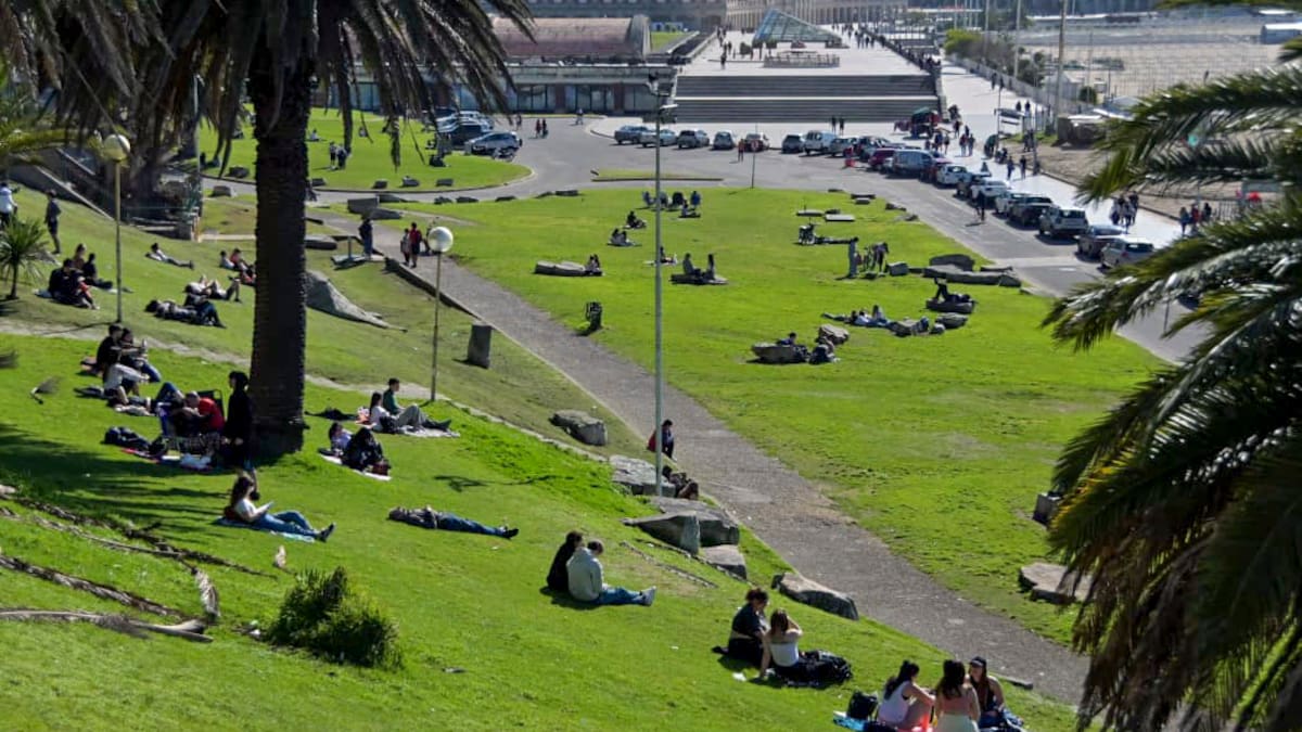 Mar del Plata