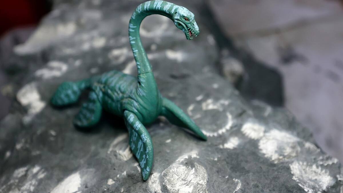 Descubren los restos de un reptil marino de 70 millones de años en la costa chilena. Foto: X/@uchile