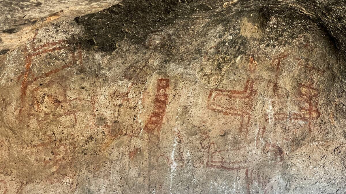 Descubrieron pinturas rupestres de hace más de 8 mil años. Foto: Reuters.