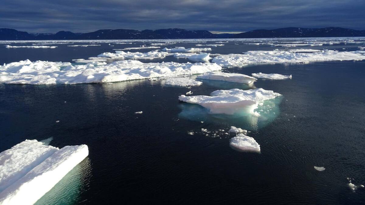 El primer día sin hielo podría ocurrir en un periodo de tres a seis años. Foto: EFE.