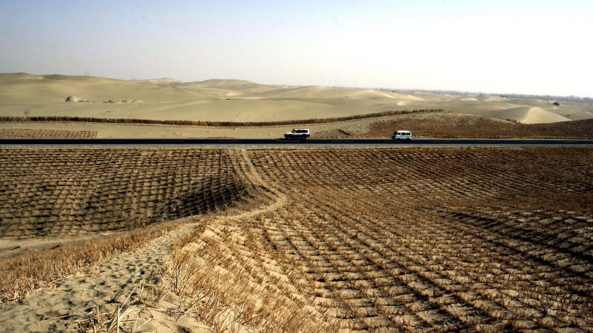 Desierto de Taklamakan, China. Foto: EFE.