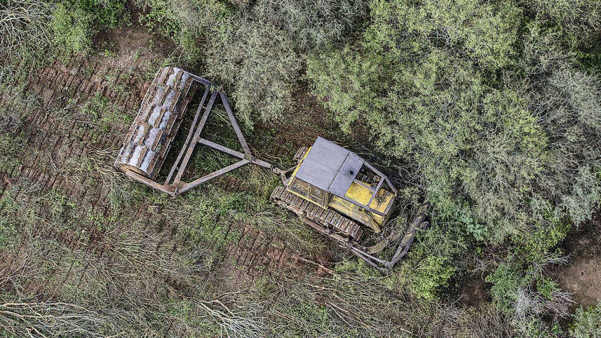 Desmonte en el norte argentino. Foto: Greenpeace Argentina