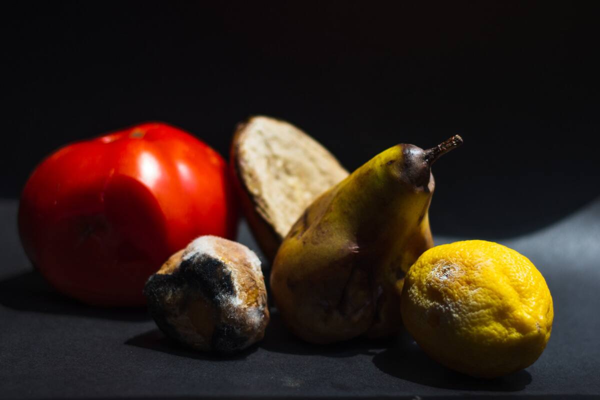 Desperdicio de alimentos. Foto: Unsplash