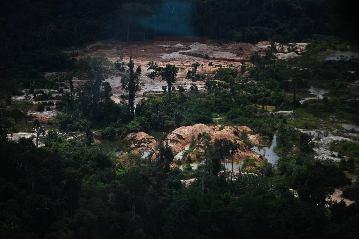 Destrucción del Amazonia. Foto: EFE.