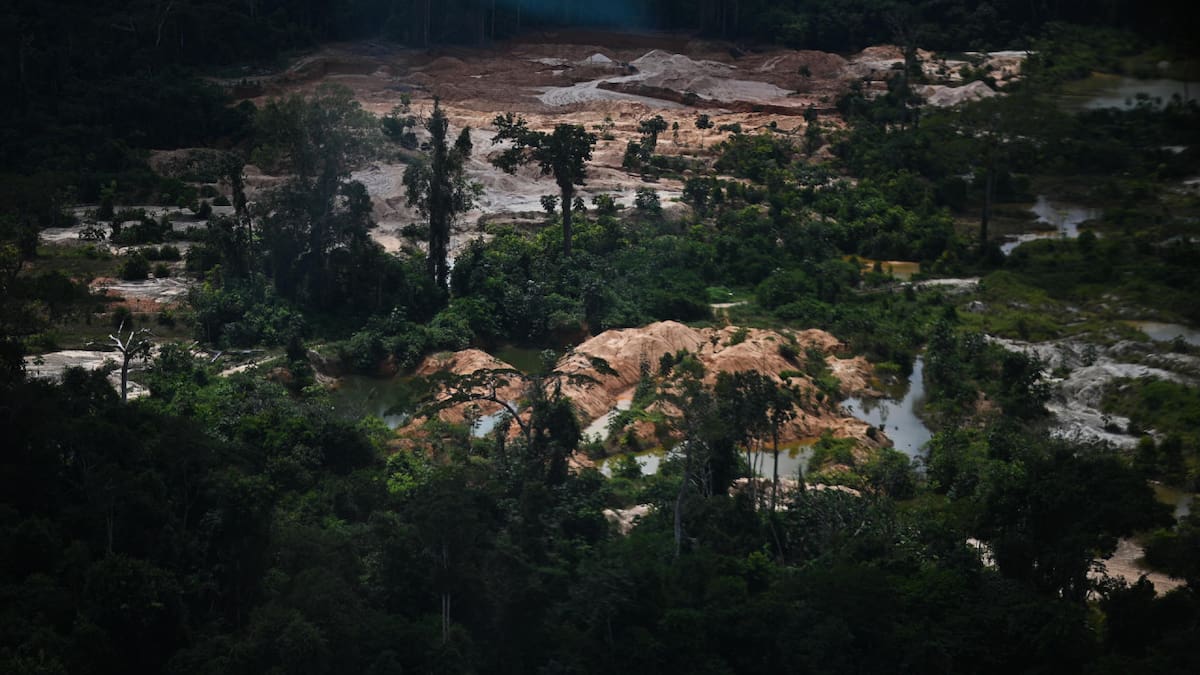 Destrucción de la Amazonia. Foto: EFE.