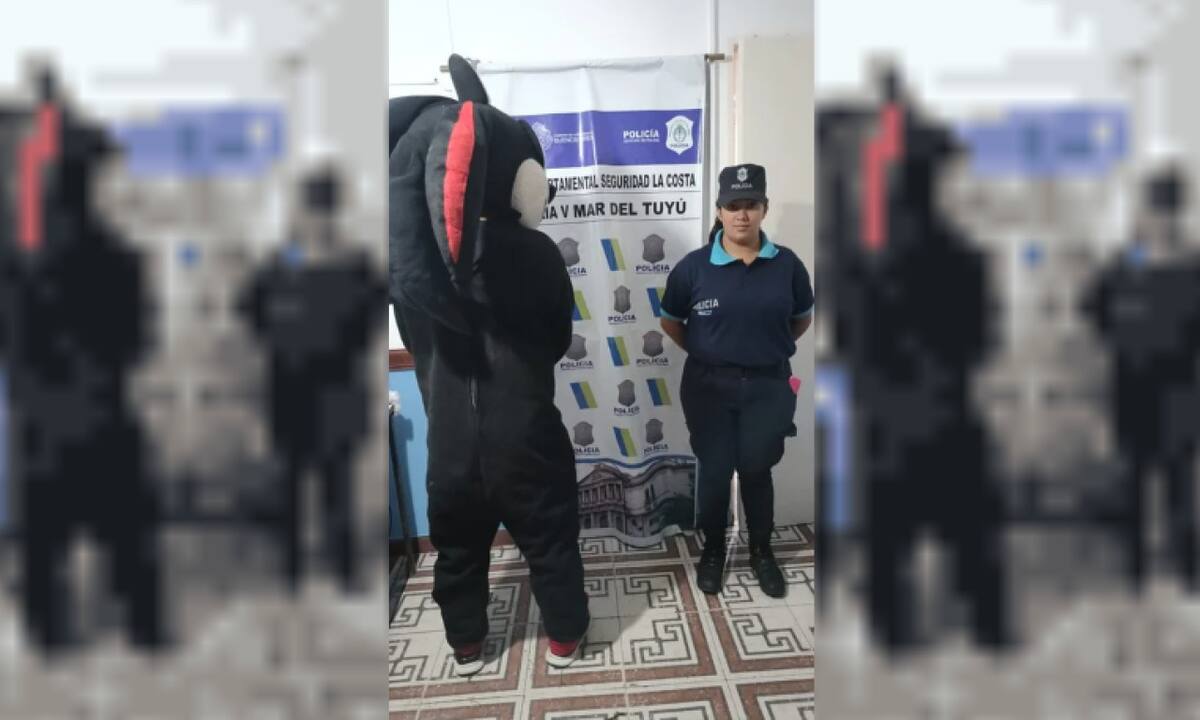 Detención en el trencito de la alegría. Foto: NA