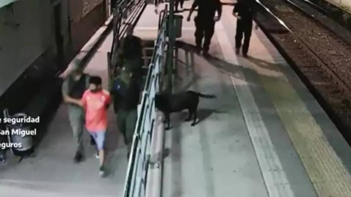Detenido en el tren San Martín por portar un arma de fuego