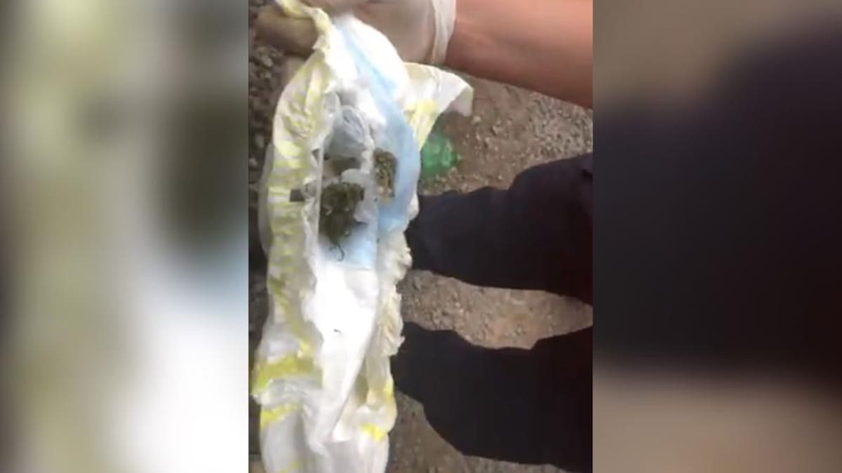 Detienen a mujer que entraba droga en pañal de bebé a cancha de Laferrere